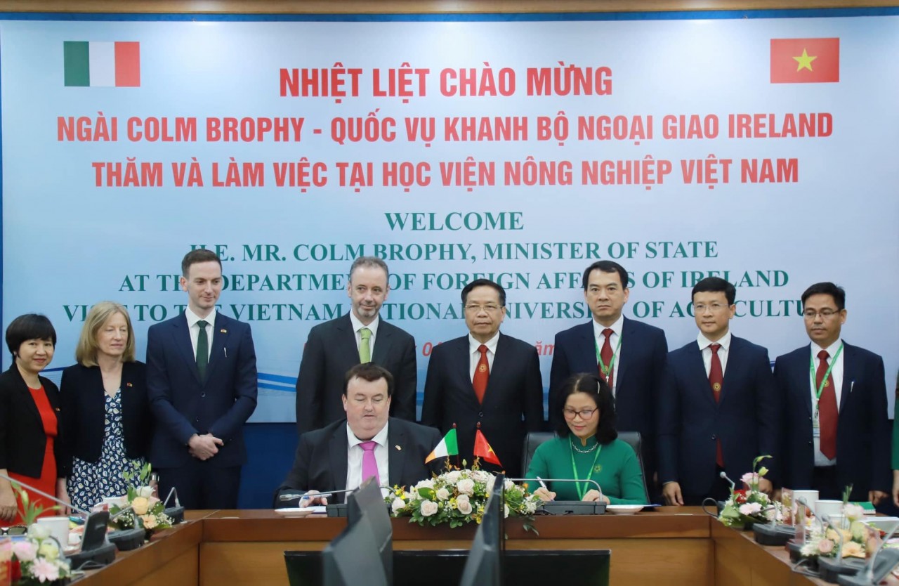 Vietnam, Ireland Expand Cooperation in Priority Fields