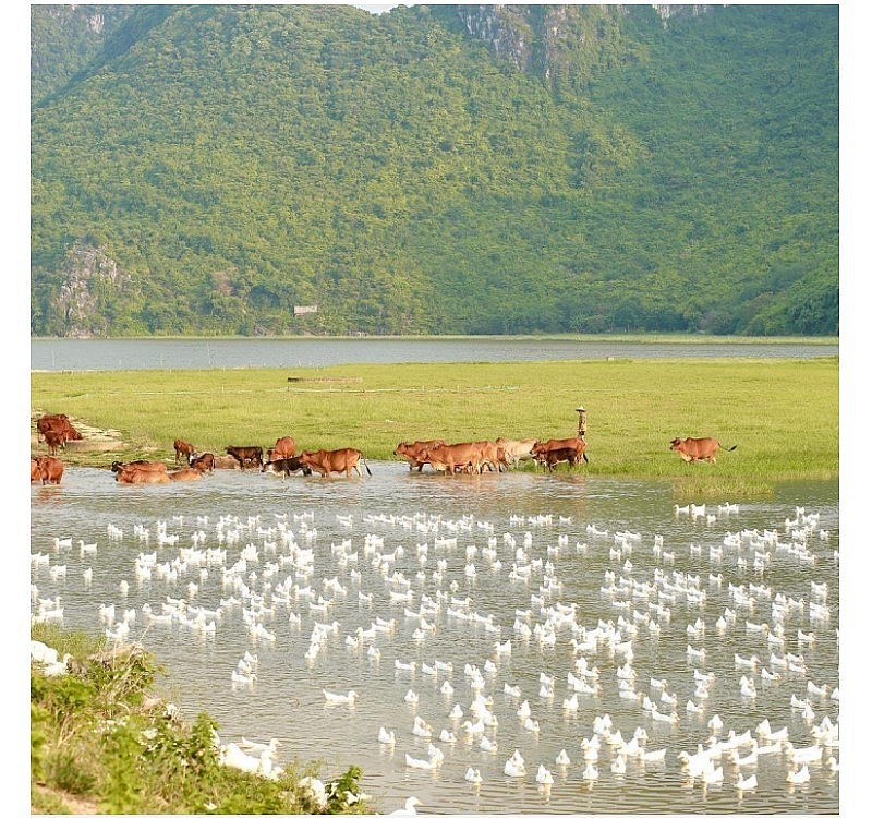 Tuy Lai Lake - A Heaven Of Peace Away From Bustling Cities