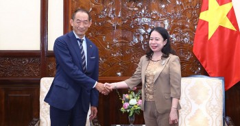Vietnam Appreciates WHO's Assistance to Medical Development: Vice President