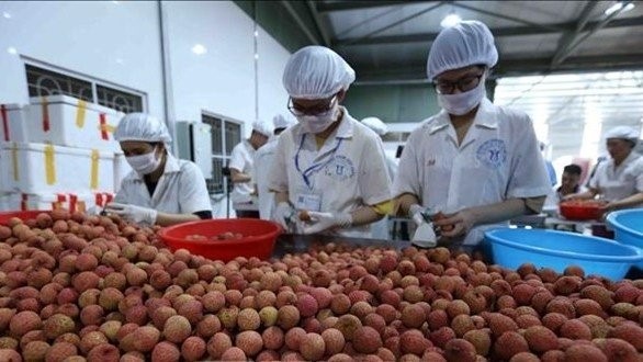 big step for vietnamese agricultural products towards huge international market