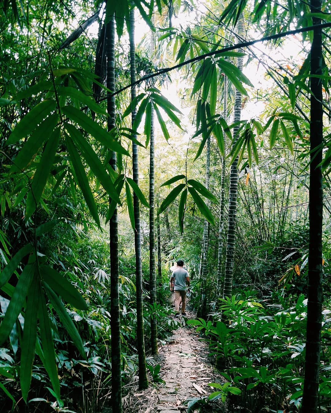 A Local Guide's to Vietnam's Top 7 Historic Destinations