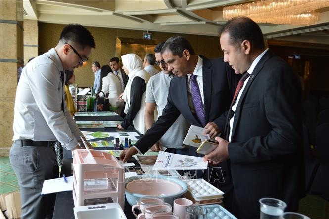 Vietnam, Egypt to Tighten Business Cooperation