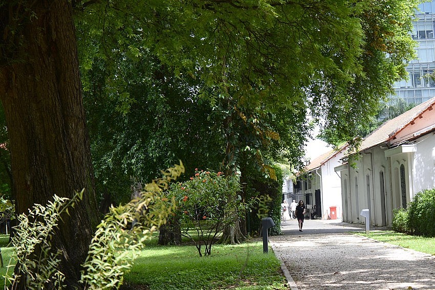 The Mysterious Appeal of the French Consulate General's Residence The Mysterious Appeal of the French Consulate General's Residence