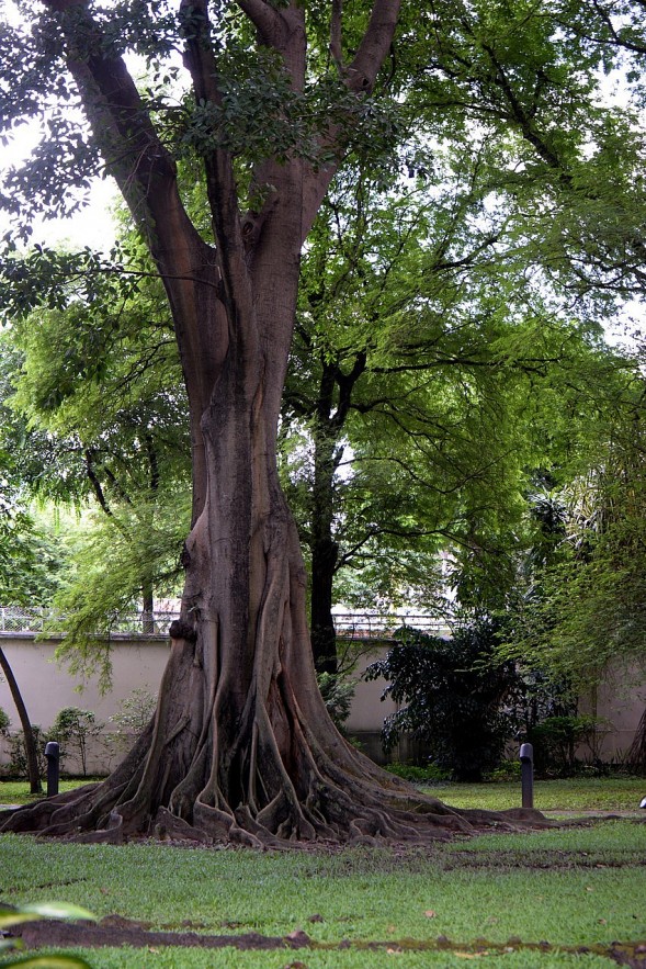 The Mysterious Appeal of the French Consulate General's Residence The Mysterious Appeal of the French Consulate General's Residence