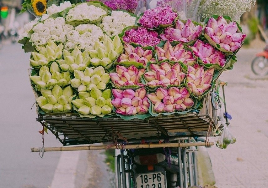 Ten Experiences to Try in Vietnam, Suggested by the UK's Press