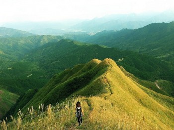 Binh Lieu: The 