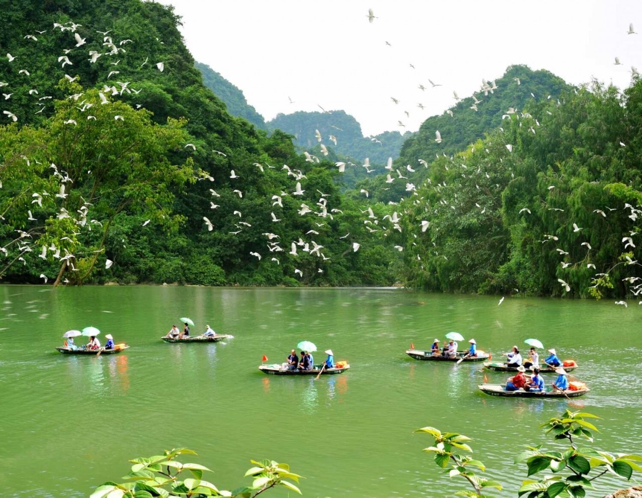 Thung Nham National Park Bird Park: Discover The Land of A Thousand Birds | Vietnam Times