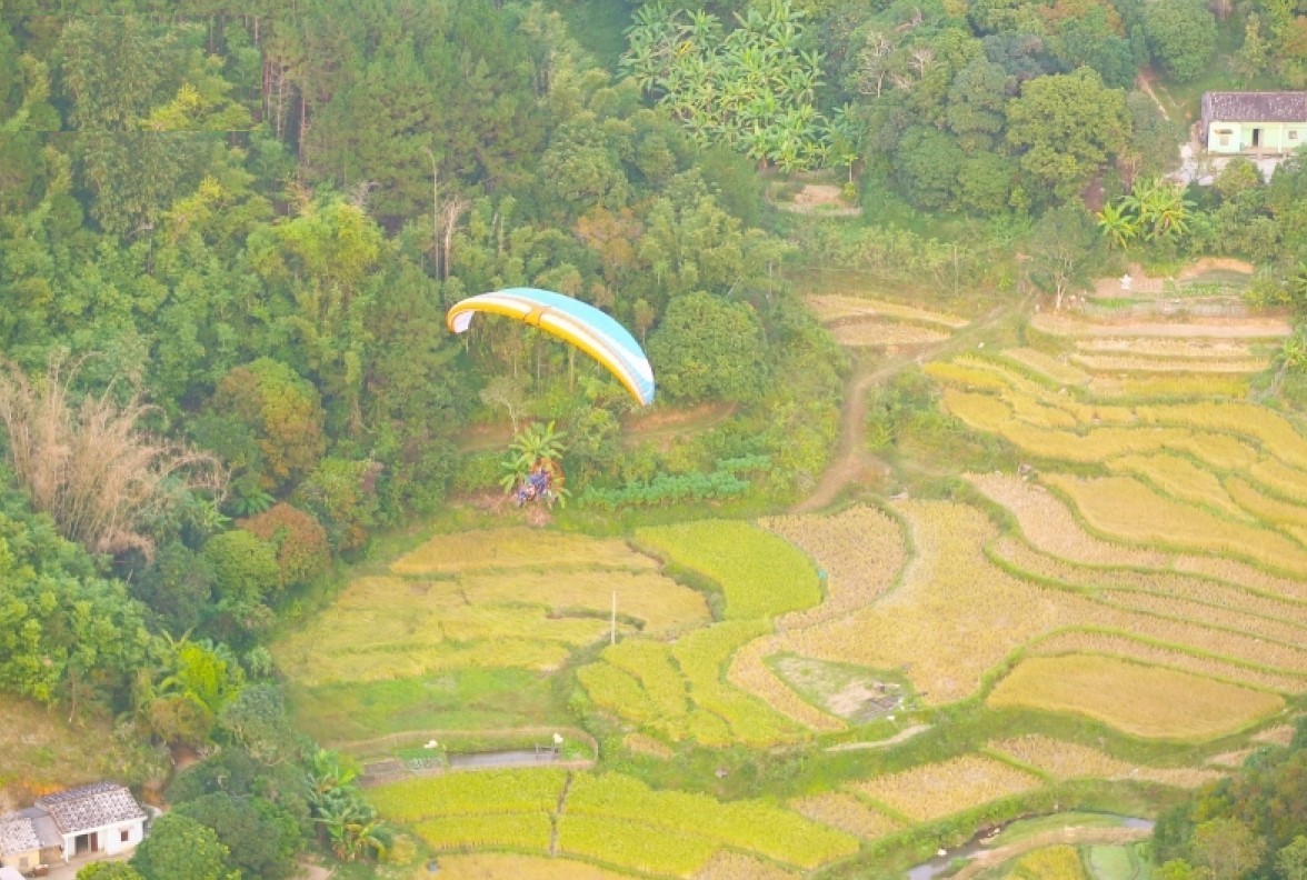 paragliding over binh lieu golden rice terrace fields in northern vietnam