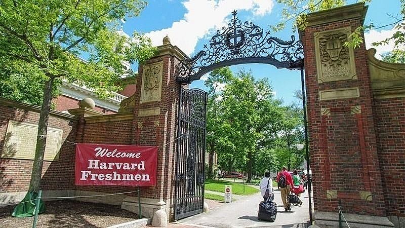 Harvard University. Photo: Getty Images