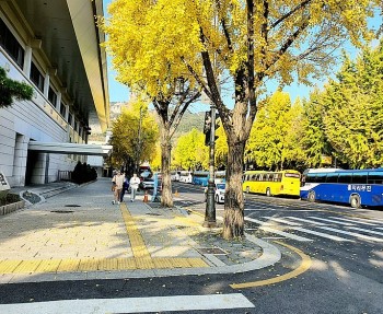 Vietnamese's Favourite Tours to Japan, RoK during New Year Holiday