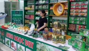 Vietnamese Economy to Focus on Green Development Goals in 2023