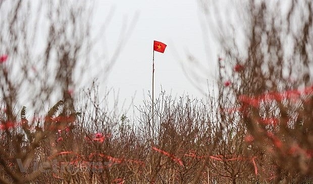 Vietnam News Today (Jan. 11): Cold Weather to Blanket Northern Vietnam in Lunar New Year Holidays