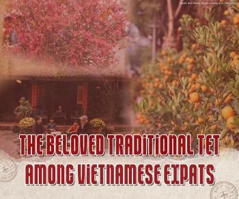 The Beloved Traditional Tet Among Vietnamese Expats