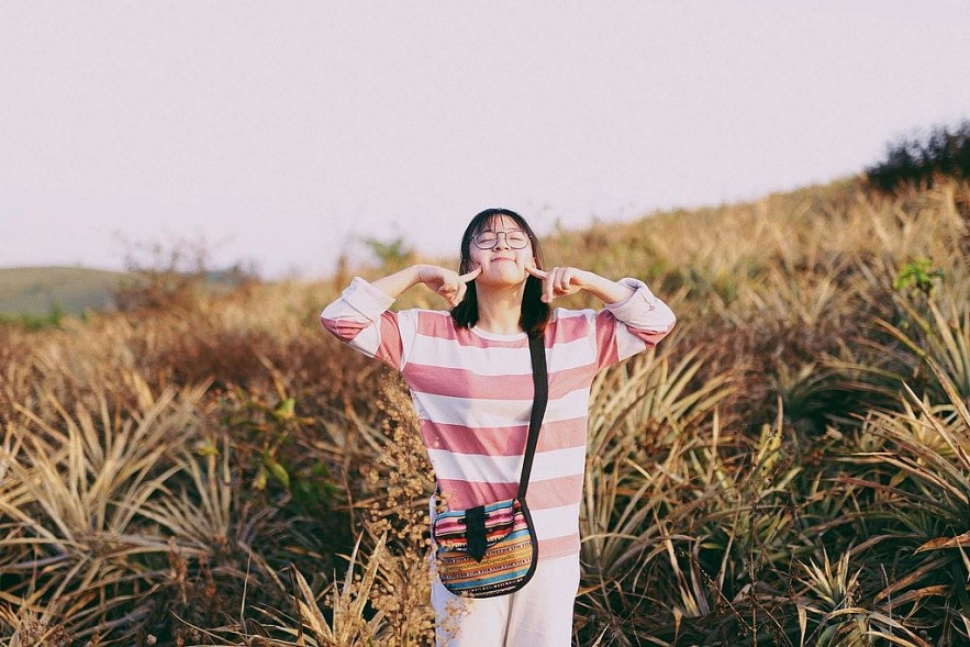 Tam Diep Pineapple Hill: Favorite Check In Place of Young People