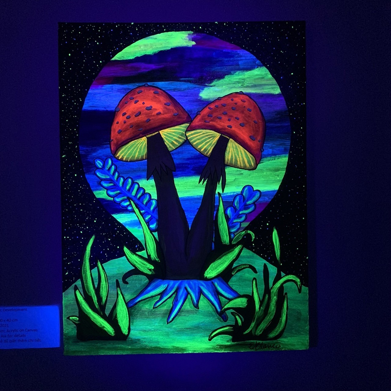 ElecTrip - The Playful World of UV Colors Beyond the Canvas