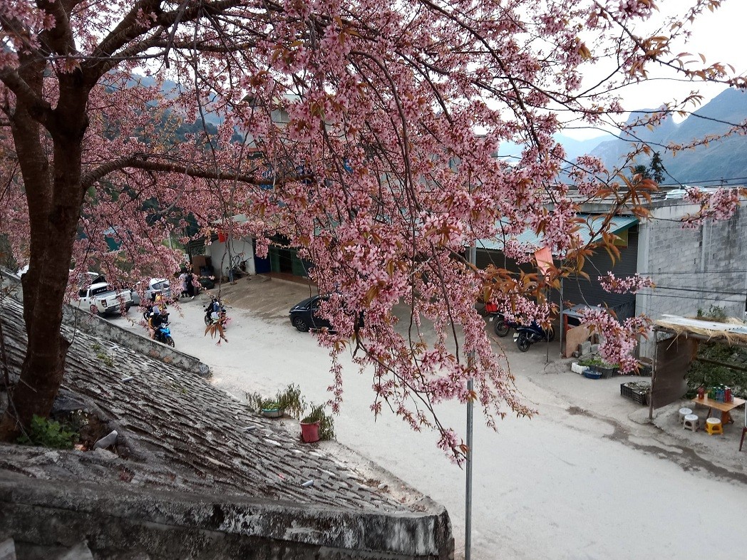 vietnam among 20 of the best slow travel holidays for 2023
