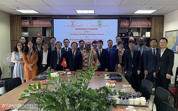 Efforts Made to Promote Vietnam-South Africa Comprehensive Cooperation