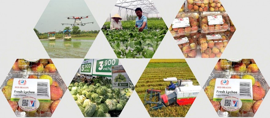 Hai Duong Has Solid Premise for Breakthrough in Near Future