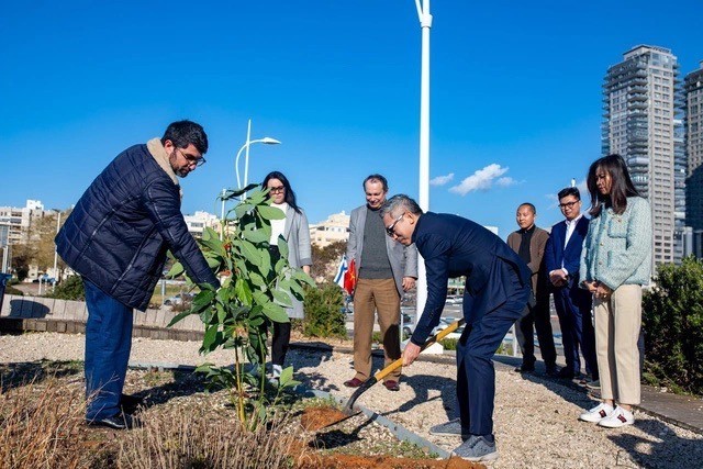 Tree-planting Ceremony Marks 30 years of Vietnam-Israel Diplomatic Relations