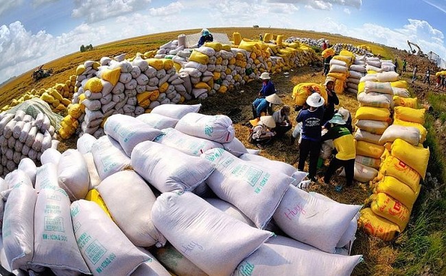 Philippines Remains Vietnam’s Biggest Rice Importer in Q1