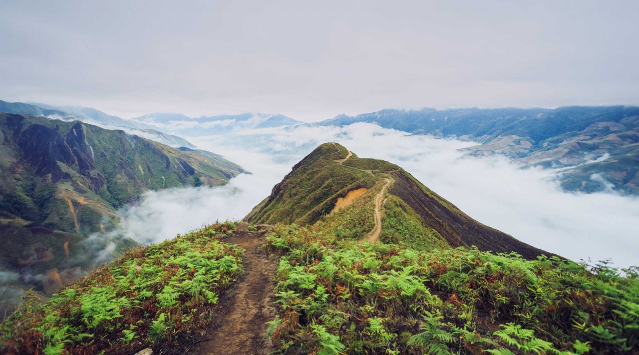 Photo: Local Vietnam 