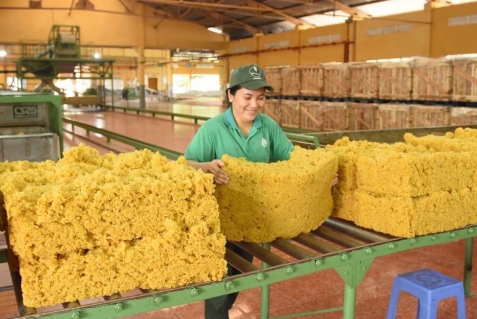 Netherlands increases rubber imports from Vietnamese market