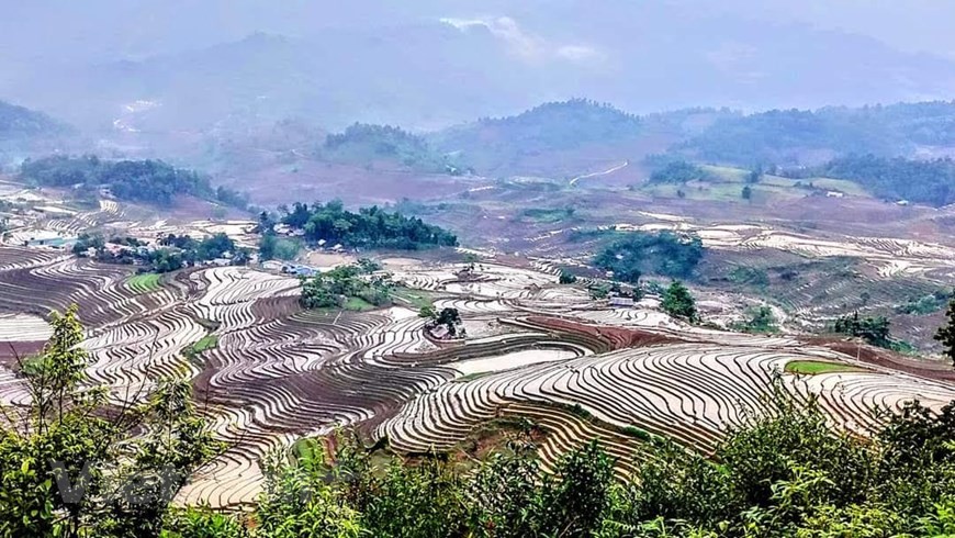 Photo: Do Manh Hung/ Vietnam+