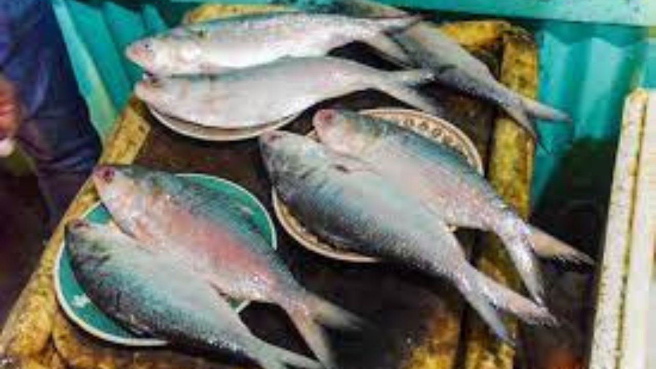 Tripura Tribal Woman Turns to Fish Farming for Livelihood