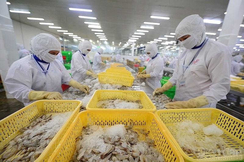 The IMF's General Director said that Vietnam is a bright star in the world economic sky, the economy remains stable and the growth rate is positive.