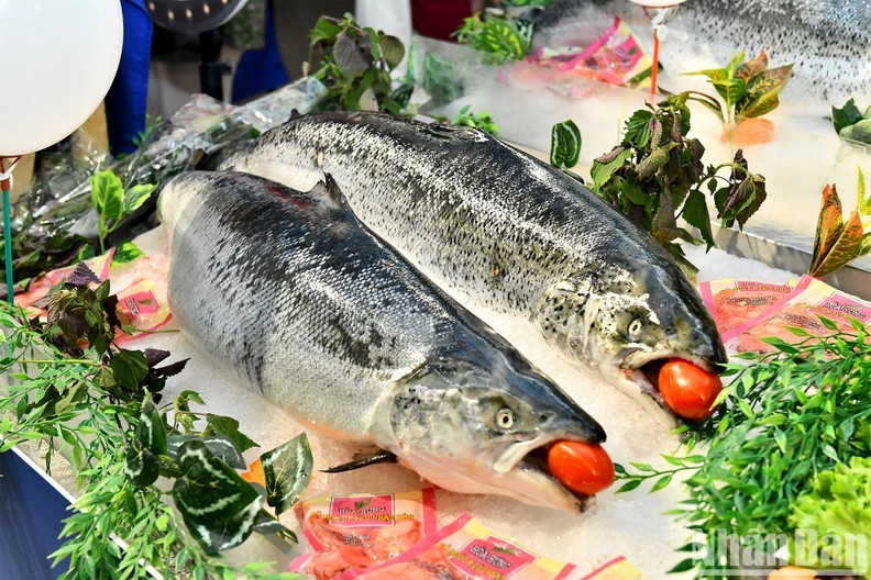 first ever norwegian seafood day brings true taste of norway to hanoi customers