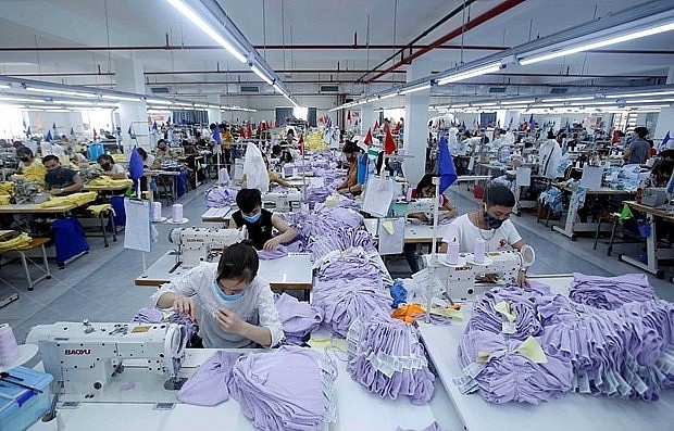 Brazil Retains Position as Vietnam's Largest Trading Partner in Latin America