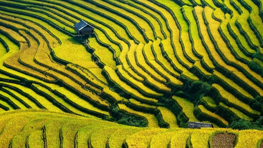 Vietnam Rises Four Places in 2023 Global Peace Index