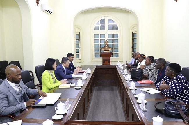 VUFO Willing to Support Introducing Gauteng Provincial Legislature to Vietnamese Partners