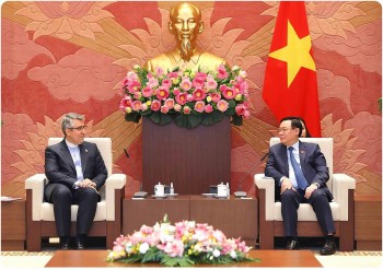 Important Milestone Elevates Vietnam-Iran Relations