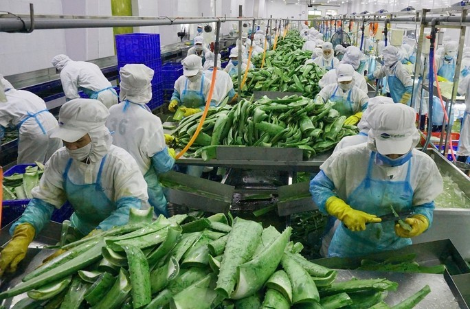 UK's Accession to CPTPP Bring Opportunities For Vietnamese Exports