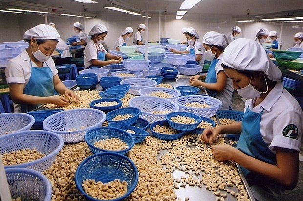 Trade between Vietnam and Israel jumps from 1.2 billion USD in 2019 to 2.2 billion USD last year. (Photo: VNA) 