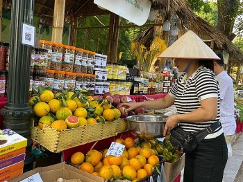 Vietnam Agricultural Products Introduced To Algeria