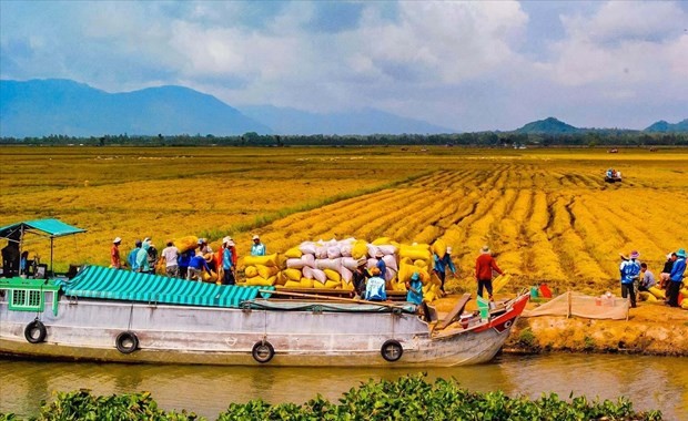 Vietnam Agricultural Products Introduced To Algeria