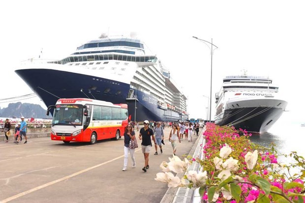 cruise ships to bring over 80000 foreign tourists to quang ninh this 2024