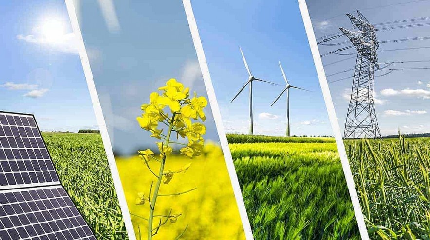 Cooperation Opportunities for Vietnamese-Swiss Businesses in Green Transformation