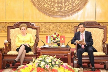 Ninh Binh Strengthens Cooperation With Hungarian Localities