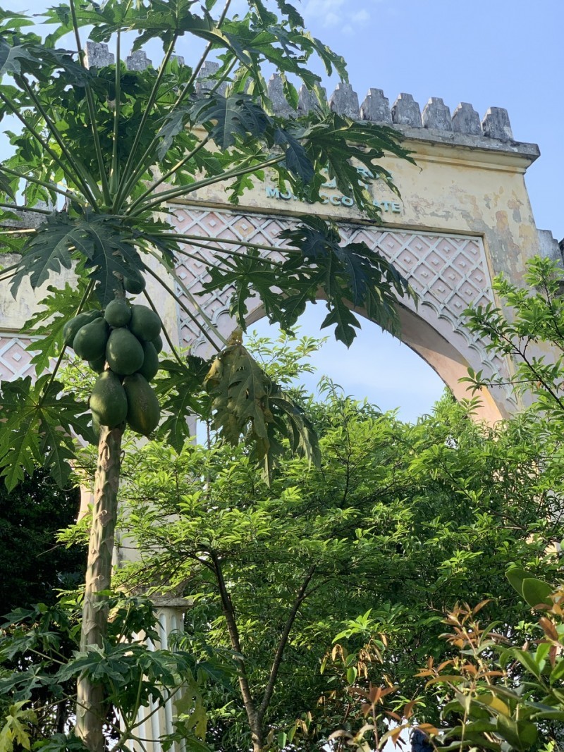 hanois morocco gate to get major restoration