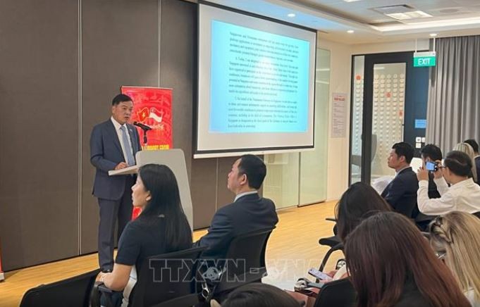 vietnam singapore boost cross border trade electronic payment