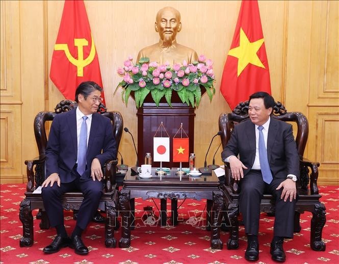 vietnam japan expected to foster cooperation in diplomatic exchanges at all levels