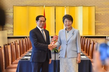 Foreign Minister Meeting Cultivates Vietnam-Japan Relations