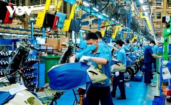 Utilico (UK): Vietnam is a Favorite Destination for Foreign Investors
