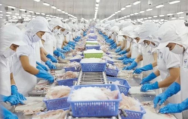 vietnam news today aug 19 golden opportunity in online exports via international branding