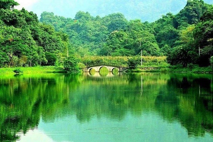 vietnam news today sep 4 vietnams cuc phuong honored as asias leading national park 2024