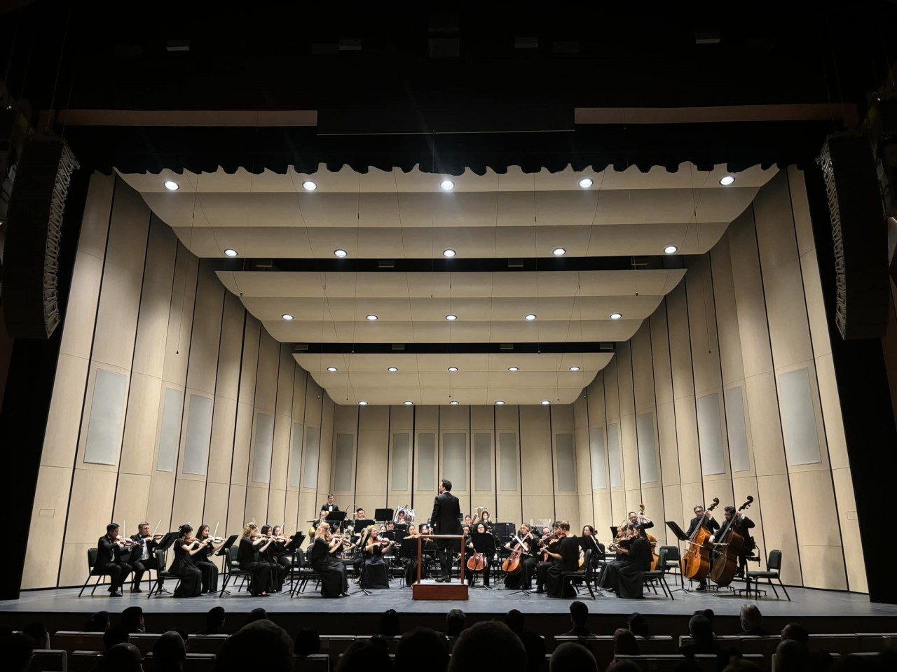 heartfelt concert marks 35 years of vietnam brazil relations
