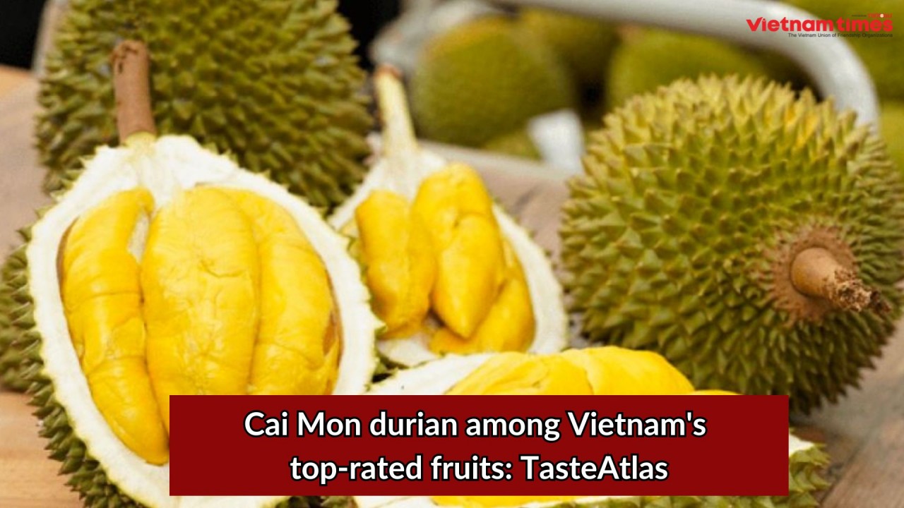 Cai Mon Durian among Vietnam's Top-rated Fruits: TasteAtlas